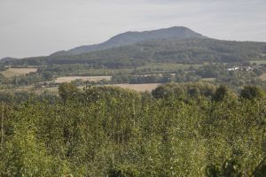 Ovocná školka Ploskovice 